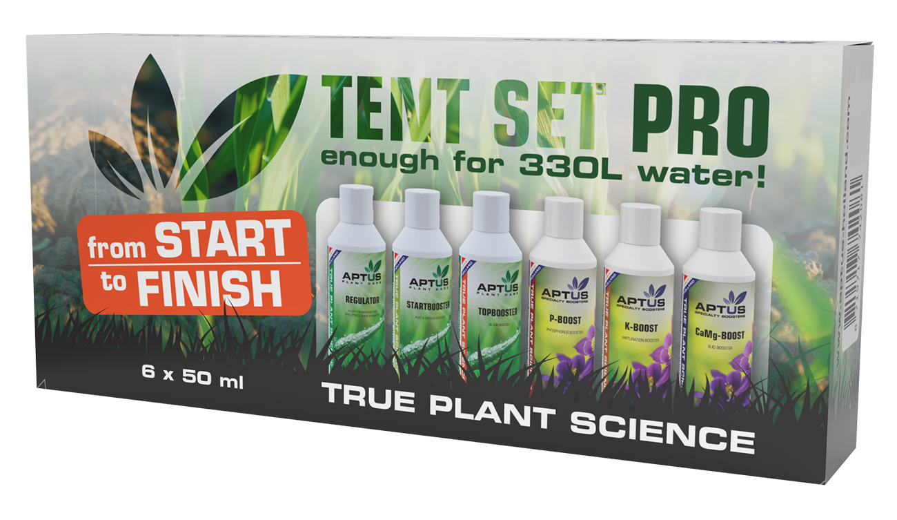 Aptus Tent Set Pro 6 x 50ml