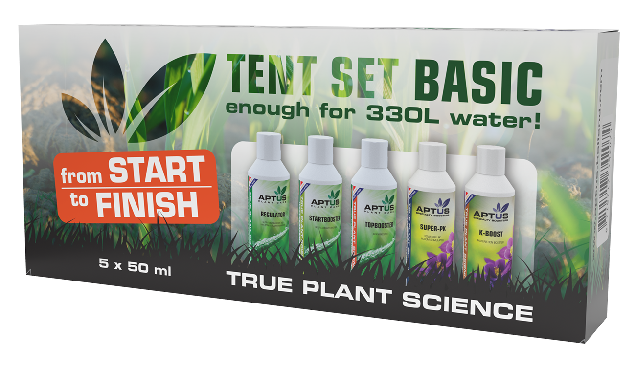 Aptus Tent Set Basic 5 x 50ml