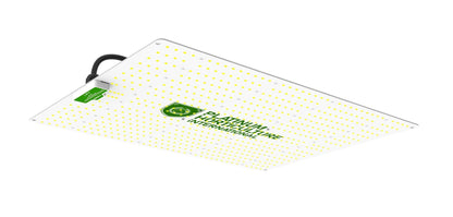 Quantumboard LED PL 320W