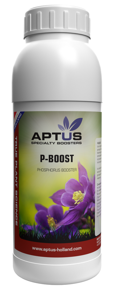 Aptus P Boost 500ml