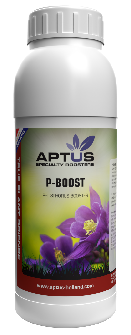 Aptus P Boost 500ml