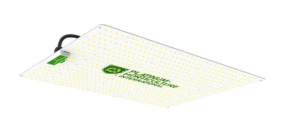 Quantumboard LED PL 320W